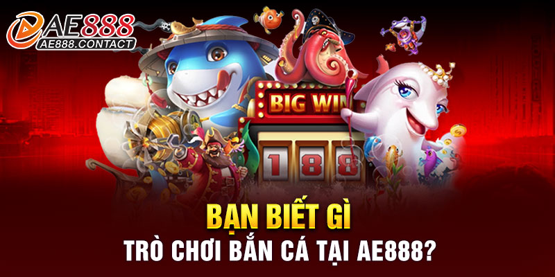 Bạn biết gì trò chơi bắn cá tại AE888?