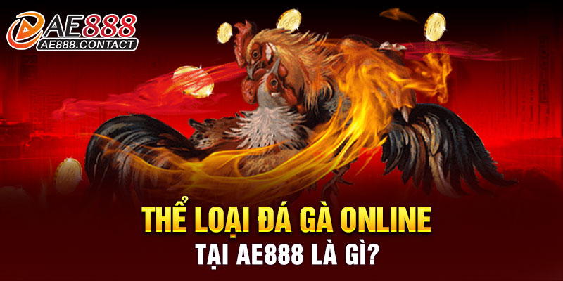 Thể loại đá gà online tại AE888 là gì?