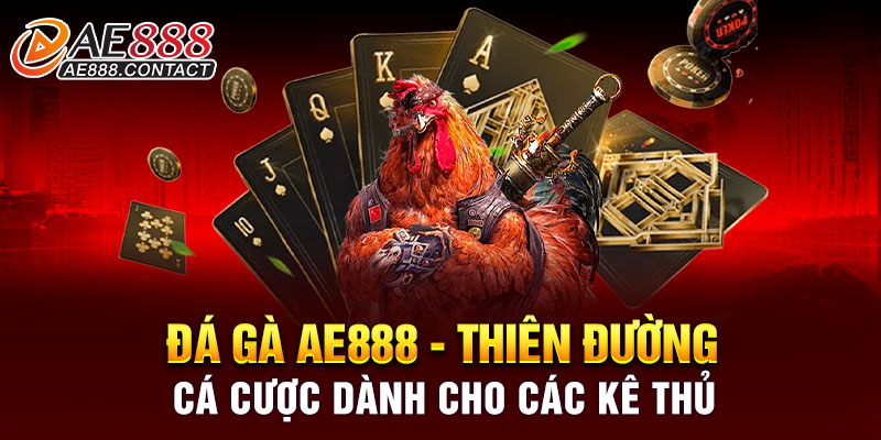 Đá gà AE888 - Thiên đường cá cược dành cho các kê thủ